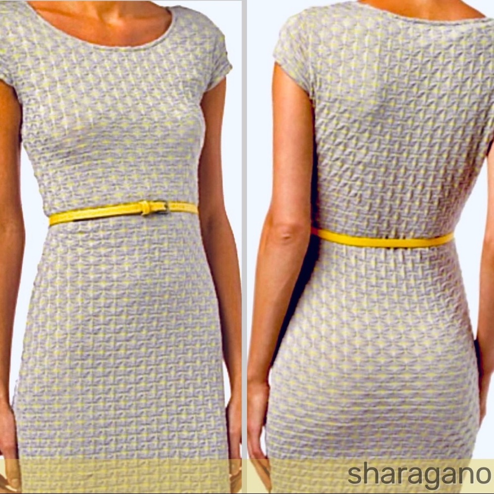 ✨NWT✨🏷Sharagano: Gray/Yellow Belted Cap-Sleeve Sheath Dress